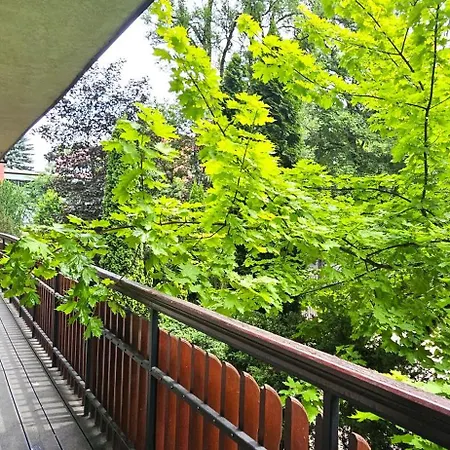 Vip Sienkiewicza Zakopane