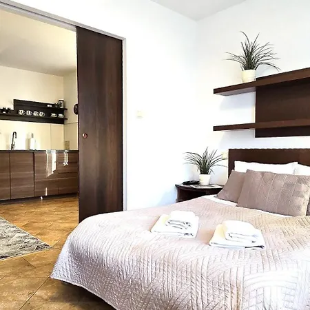 Vip Sienkiewicza Apartment Zakopane